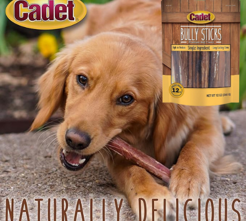 Cadet Long Lasting Bully Sticks 12-Oz Premium Dog Treat as low as $16.20 After Coupon (Reg. $40.50) + Free Shipping – For Aggressive Chewers