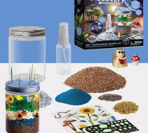 Macy’s Black Friday! Discovery Mindblown DIY Terrarium Grow Kit $9.99 (Reg. $30)