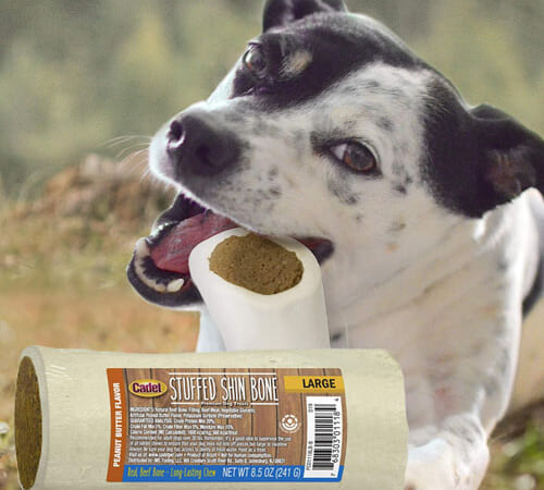 Cadet Stuffed Shin Bone Dog Treat (Peanut Butter, Large) as low as $1.72 After Coupon (Reg. $4.29) + Free Shipping