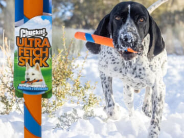 Chuckit! Ultra Fetch Stick Outdoor Dog Toy $4.31 (Reg. $11) –  for All Breed Sizes