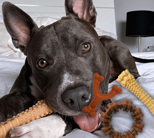 Amazon Black Friday! Nylabone Large Power Chew Toys, 3-Pack (Customer Favorites Bundle) 12.71 (Reg. $23.55) – $4.24 Each – Medley, Peanut Butter, and Bison Flavors