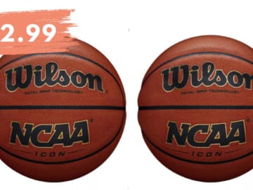 Get Wilson Icon Basketballs for $12.99