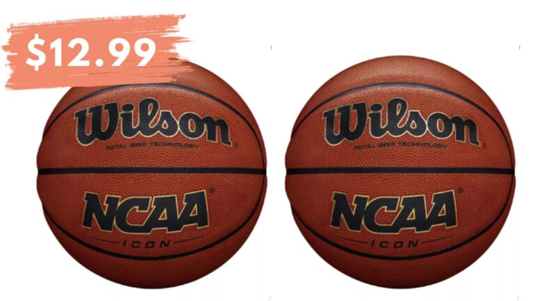 Get Wilson Icon Basketballs for $12.99