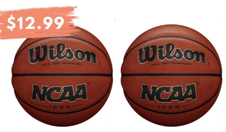 Get Wilson Icon Basketballs for $12.99