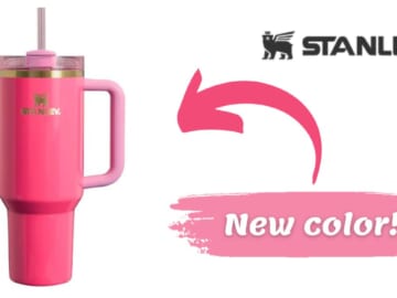 New Stanley Color JUST Launched | Flowstate 40 Oz in Pink Parade