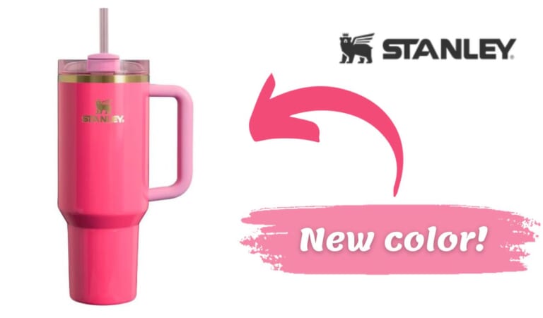 New Stanley Color JUST Launched | Flowstate 40 Oz in Pink Parade