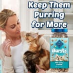 Amazon Cyber Monday! Blue Buffalo Bursts Crunchy Cat Treats, Seafood as low as $3.43/Tub when you buy 4 (Reg. $11.49) + Free Shipping