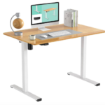 FLEXISPOT Standing Desk