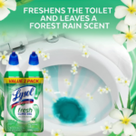 Lysol 2-Pack Toilet Bowl Cleaner Gel as low as $3.98 when you buy 4 (Reg. $5.62) + Free Shipping – $1.99/24 Oz Bottle