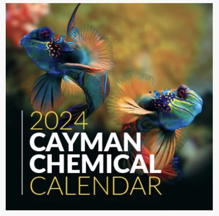 FREE 2024 Cayman Calendar