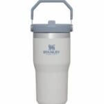 Stanley IceFlow Straw Tumblers as low as $22.49 at REI!