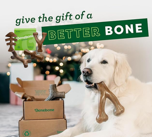 Benebone Medium Holiday 4-Pack Dog Chew Toys as low as $10.48 After Coupon (Reg. $32.89) + Free Shipping – $2.62 each – For Aggressive Chewers