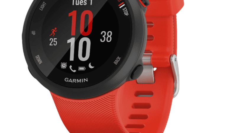 Garmin Forerunner 45 GPS Running Watch for $115 + free shipping