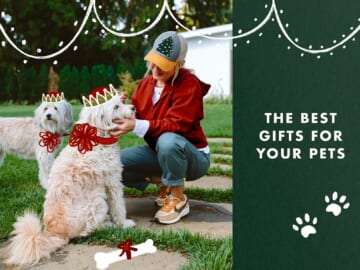 15 Design-Forward Gift Ideas For Pets And Pet Lovers