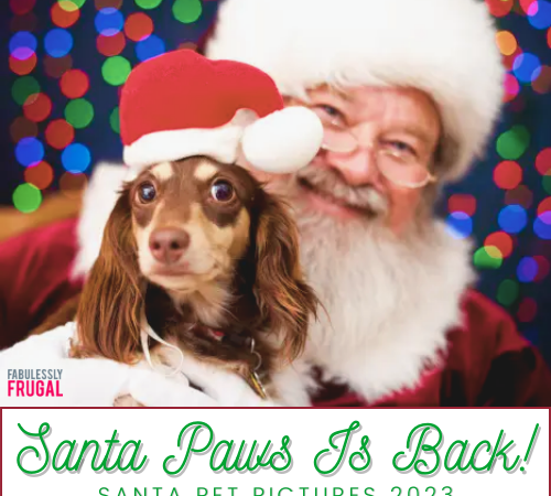 Christmas Time Isn’t Complete Without A Santa Pic With Your Furry Friends!