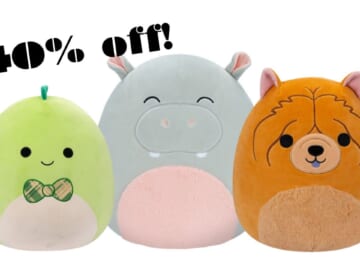 Walgreens Clearance | 40% Off Squishmallows