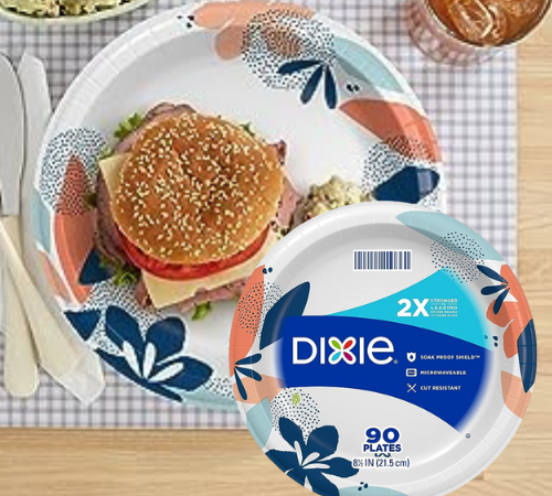 Dixie Dinner Size 90-Count Printed Disposable Paper Plates as low as $5.03 Shipped Free (Reg. $6.89) – 6¢/8.5-Inch Plate