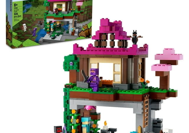 LEGO Minecraft The Training Grounds House Building Set for $50 + free shipping