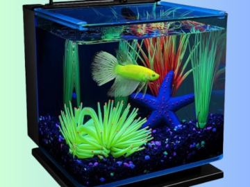 GloFish Betta Shadowbox 3-Gallon Aquarium Kit $35.99 Shipped Free (Reg. $60)