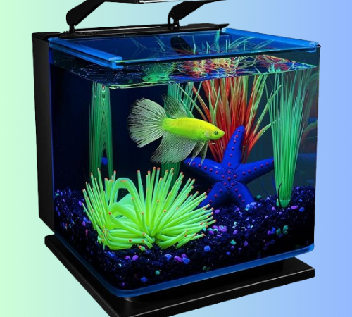 GloFish Betta Shadowbox 3-Gallon Aquarium Kit $35.99 Shipped Free (Reg. $60)