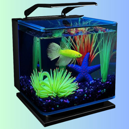 GloFish Betta Shadowbox 3-Gallon Aquarium Kit $35.99 Shipped Free (Reg. $60)