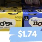 Get Noosa Yoghurt 4-Packs for $1.74 | Kroger Mega Deal