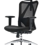 Sihoo High Back Ergonomic Office Chair for $120 + free shipping