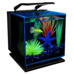 GloFish Betta Shadowbox Aquarium Kit for $36 + free shipping