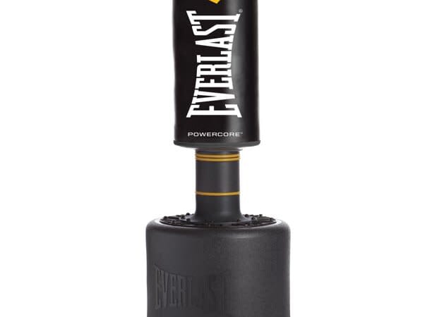 Everlast Powercore Free-Standing Punching Bag for $99 + free shipping