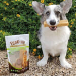 EcoKind Premium Gold Yak Cheese Chew Dog Treats, 8-Count as low as $9.98 After Coupon (Reg. $25) + Free Shipping – $1.25 Each