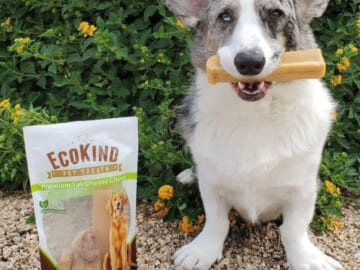 EcoKind Premium Gold Yak Cheese Chew Dog Treats, 8-Count as low as $9.98 After Coupon (Reg. $25) + Free Shipping – $1.25 Each