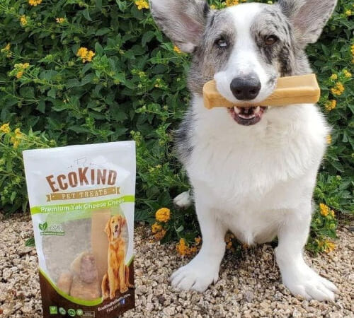 EcoKind Premium Gold Yak Cheese Chew Dog Treats, 8-Count as low as $9.98 After Coupon (Reg. $25) + Free Shipping – $1.25 Each