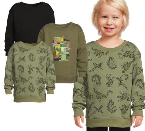 Garanimals Toddler Boy Long Sleeve Fleecea Sweatshirt, 3-Pack $10 (Reg. $17.94) – $3.33 Each, Sizes 2T-5T