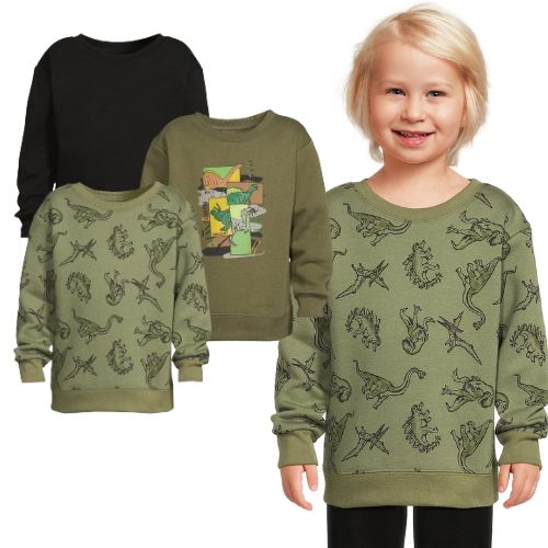 Garanimals Toddler Boy Long Sleeve Fleecea Sweatshirt, 3-Pack $10 (Reg. $17.94) – $3.33 Each, Sizes 2T-5T