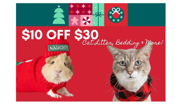 PetSmart | $10 off $30 Same Day Delivery | Today Only!