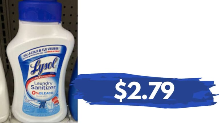 $2.79 Lysol Laundry Sanitizer at Publix