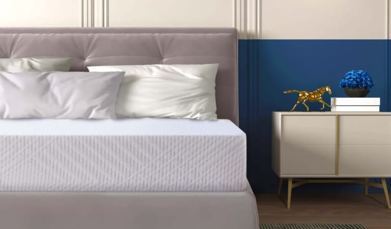 Mlily Ego 6" Memory Foam Twin Mattress for $89 + free shipping