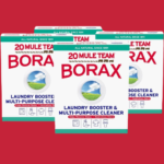 20 Mule Team 4-Pack Borax Boxes as low as $15.52 After Coupon (Reg. $25.49) + Free Shipping – $3.88/65 Oz Box