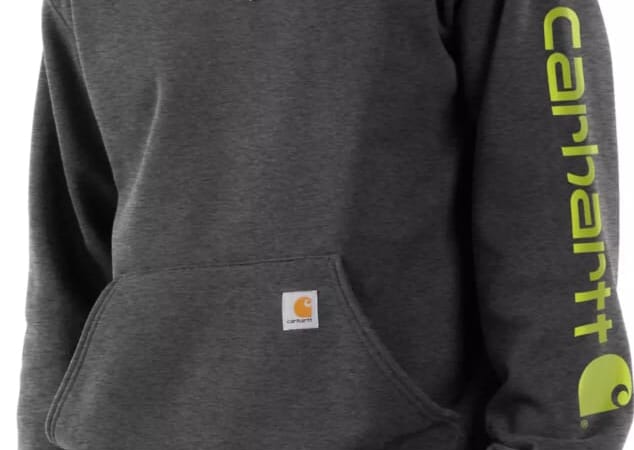 Carhartt Men's K288 Hoodie for $46 + free shipping w/ $49