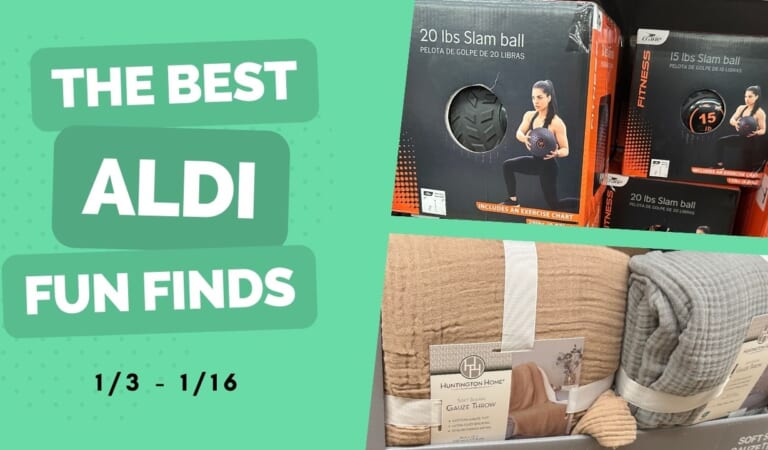 Aldi Fun Finds | Organize & Get Fit for Under $10!