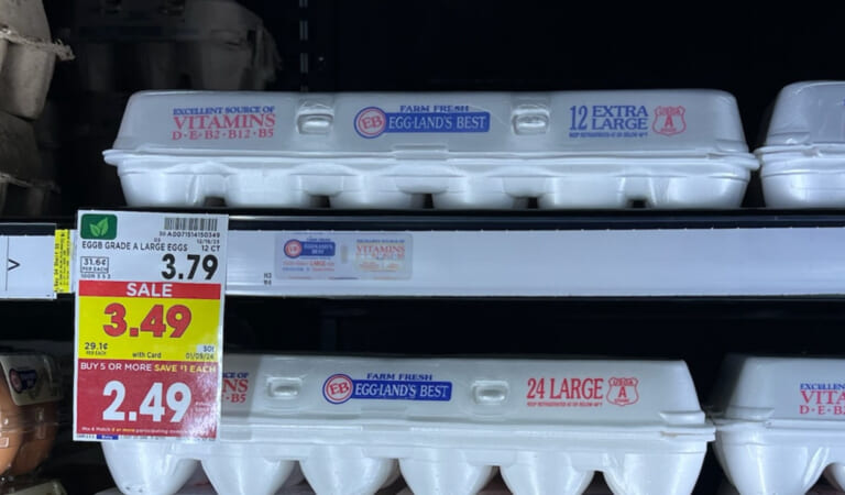 Eggland’s Best Eggs As Low As $1.94 At Kroger