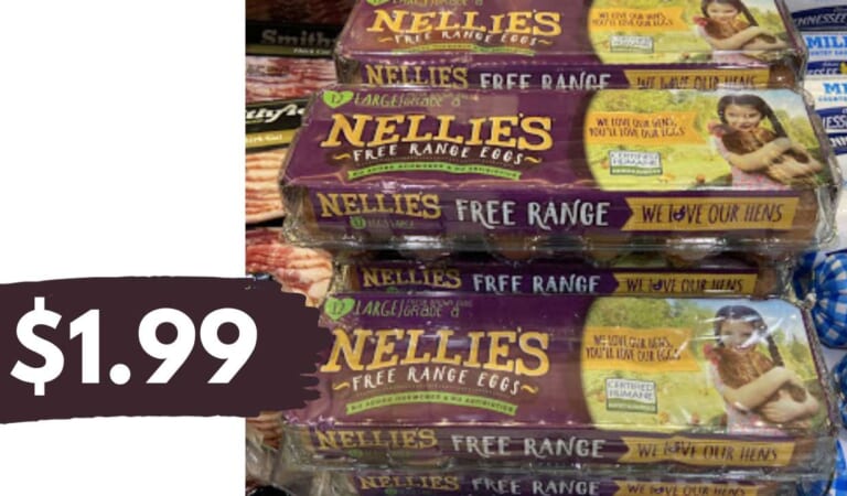 $1.99 Nellie’s Free Range Eggs at Publix