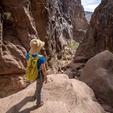 Upcoming: National Parks Free Entrance Day: Free National Park Admission on MLK Day