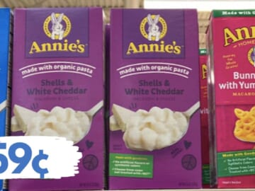 59¢ Annie’s Homegrown Mac & Cheese at Publix