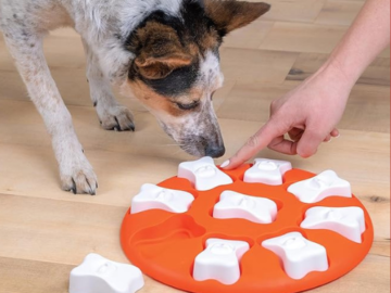Outward Hound Nina Ottosson Dog Smart Orange Interactive Treat Puzzle $6.59 (Reg. $17) – 133K+ FAB Ratings!