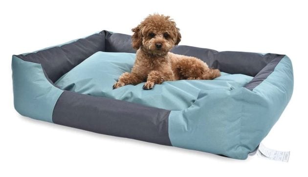 Amazon Basics Water-Resistant Pet Bed only $24.99 shipped (Reg. $65!)