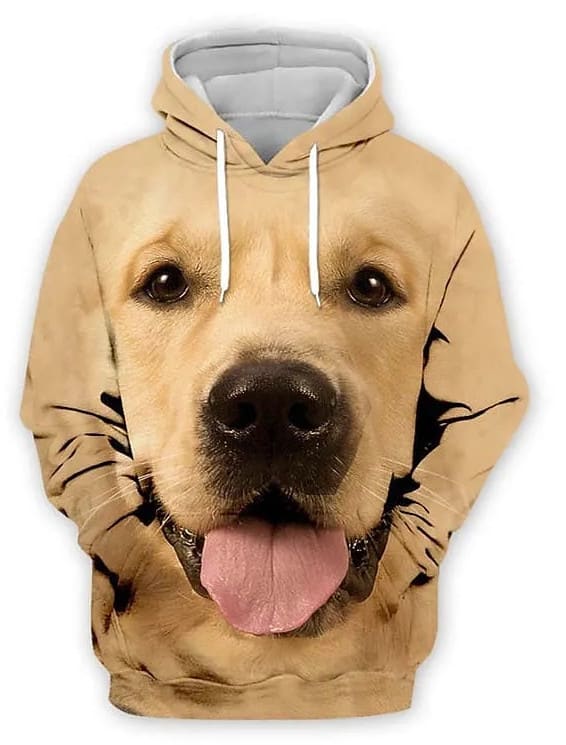 Men's Graphic Print Hoodie for $16 + $5 shipping