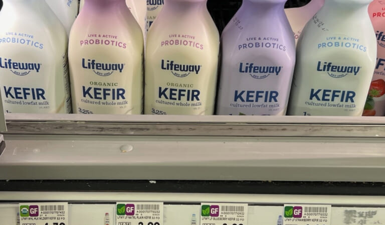 Get The Bottle Of Lifeway Kefir For Just $2.49 At Kroger