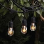 Black Indoor/Outdoor 12-Light 24 ft. Incandescent Edison String Light