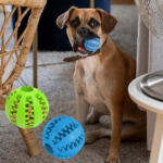 Dog Treat Toy Pack of 2 Chew Ball with Slots for Food 2.8″ $2.99 (Reg. $8) – $1.50 /Ball